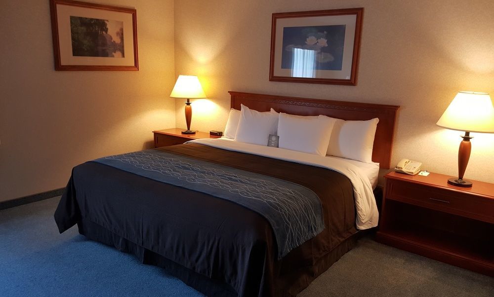 Comfort Inn & Suites فكتوريا المظهر الخارجي الصورة