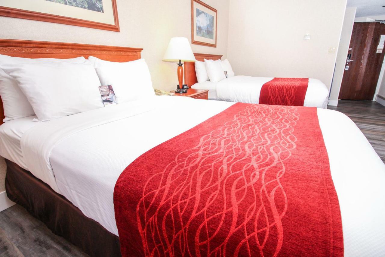 Comfort Inn & Suites فكتوريا المظهر الخارجي الصورة